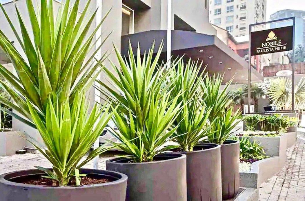Ferienwohnung Flat Whynd Paulista Al Campinas 540 São Paulo Exterior foto